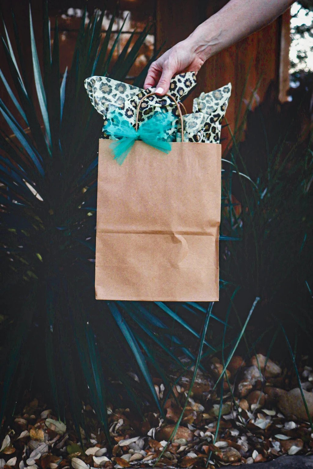 Surprise Bags