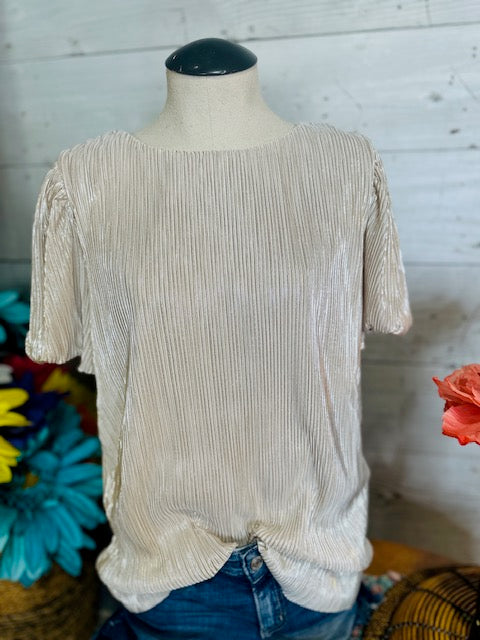 Puff Sleeve Pleats Top