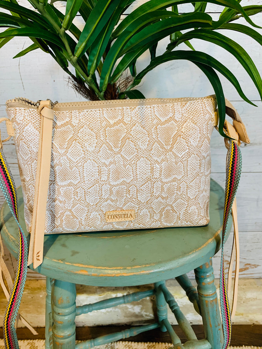 Teeny Crossbody Clay
