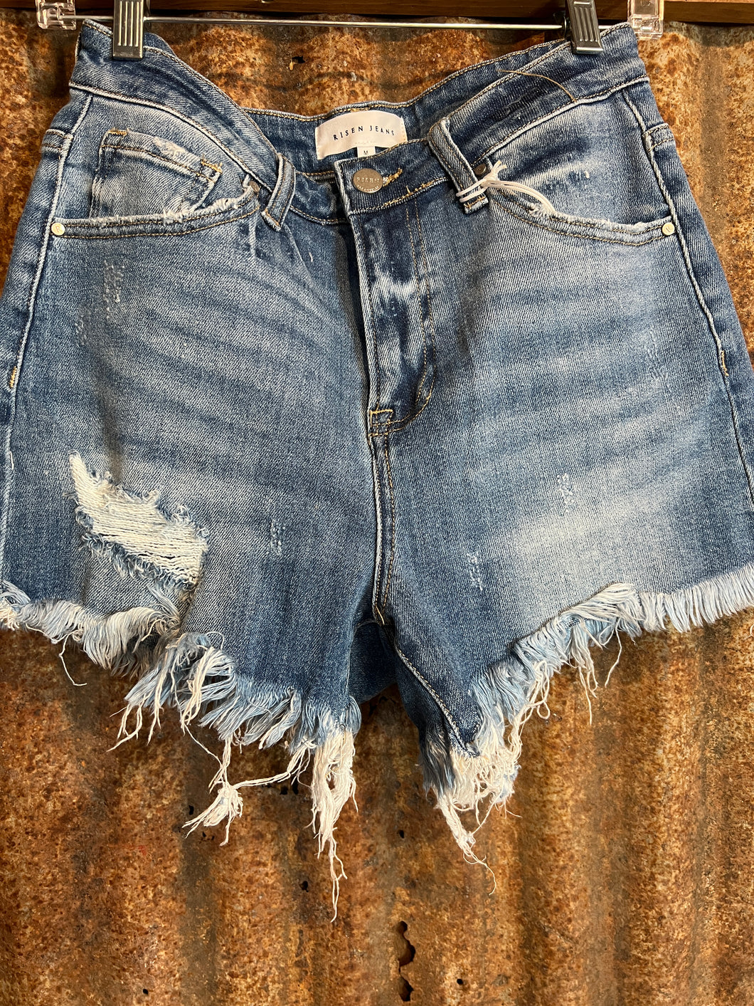 Fray Hem Denim Shorts