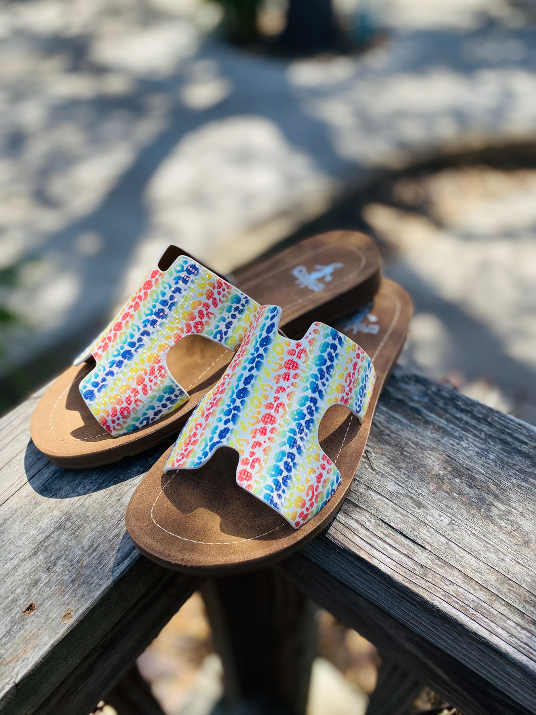 Rainbow Leopard Slide